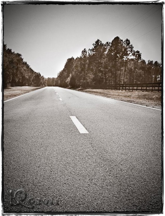 The road to 2011…