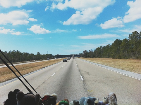 Views From the Passenger Seat…Leaving Florida