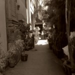 untitled_shoot-009