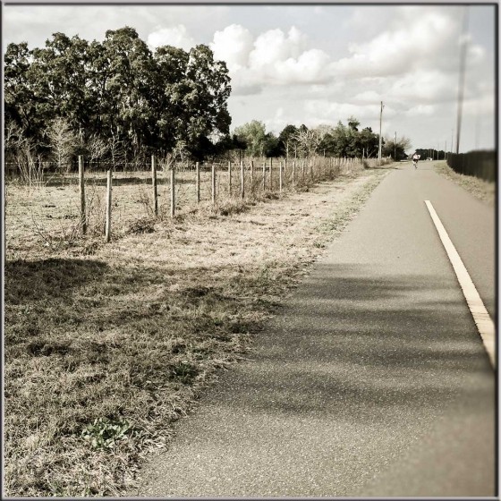 20150301-Suncoast_Trail2_03-01-15_001